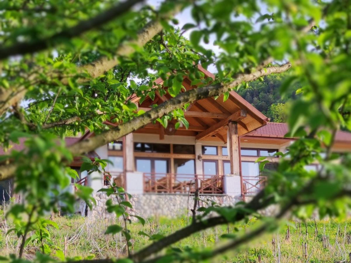 Belvedere Otel Ambrolauri Dış mekan fotoğraf